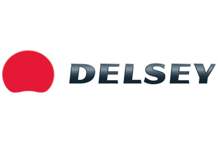 Delsey Delsey